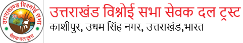 Lead India International School